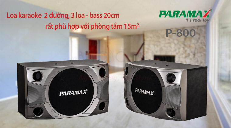 Loa Paramax P-800