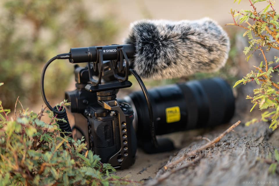Mic phỏng vấn Shotgun sử dụng cho máy ảnh, máy quay