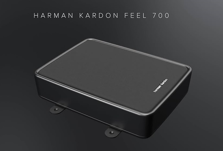 Loa subwoofer cho xe hơi Harman Kardon Feel 700