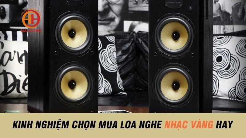 Tư vấn chọn mua loa nghe cho nhạc vàng hay nhất